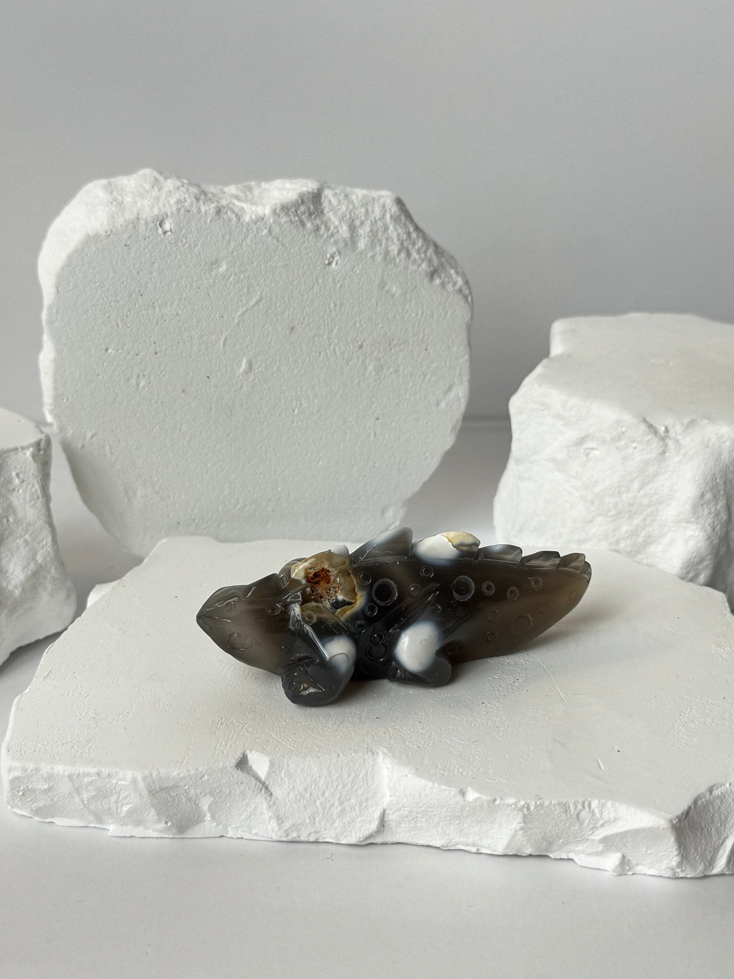 Orca Agate – Lizard Carving