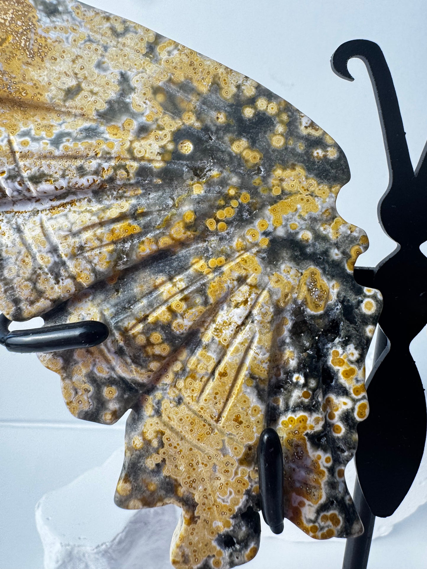 Ocean Jasper butterfly wings on stand