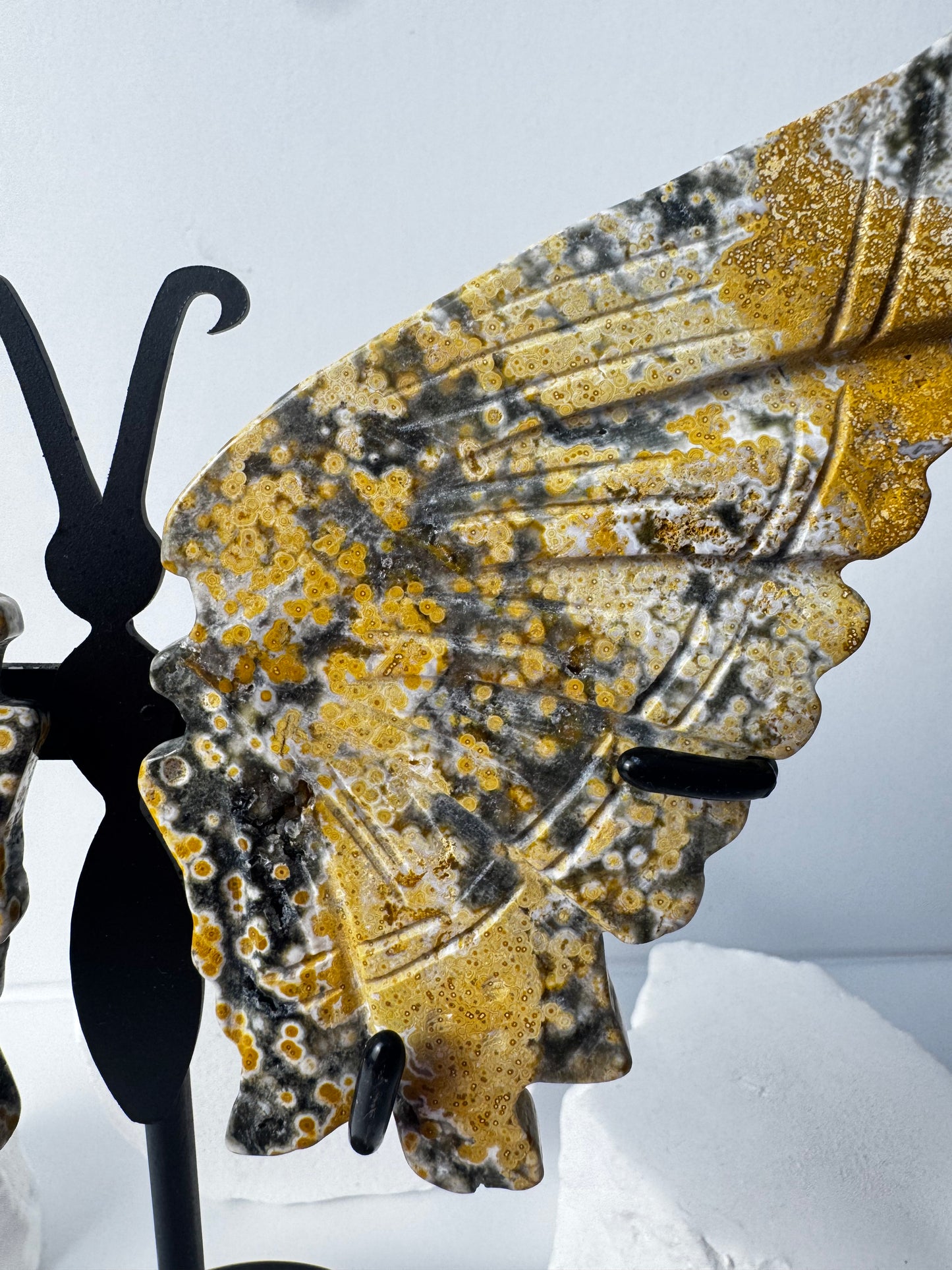Ocean Jasper butterfly wings on stand