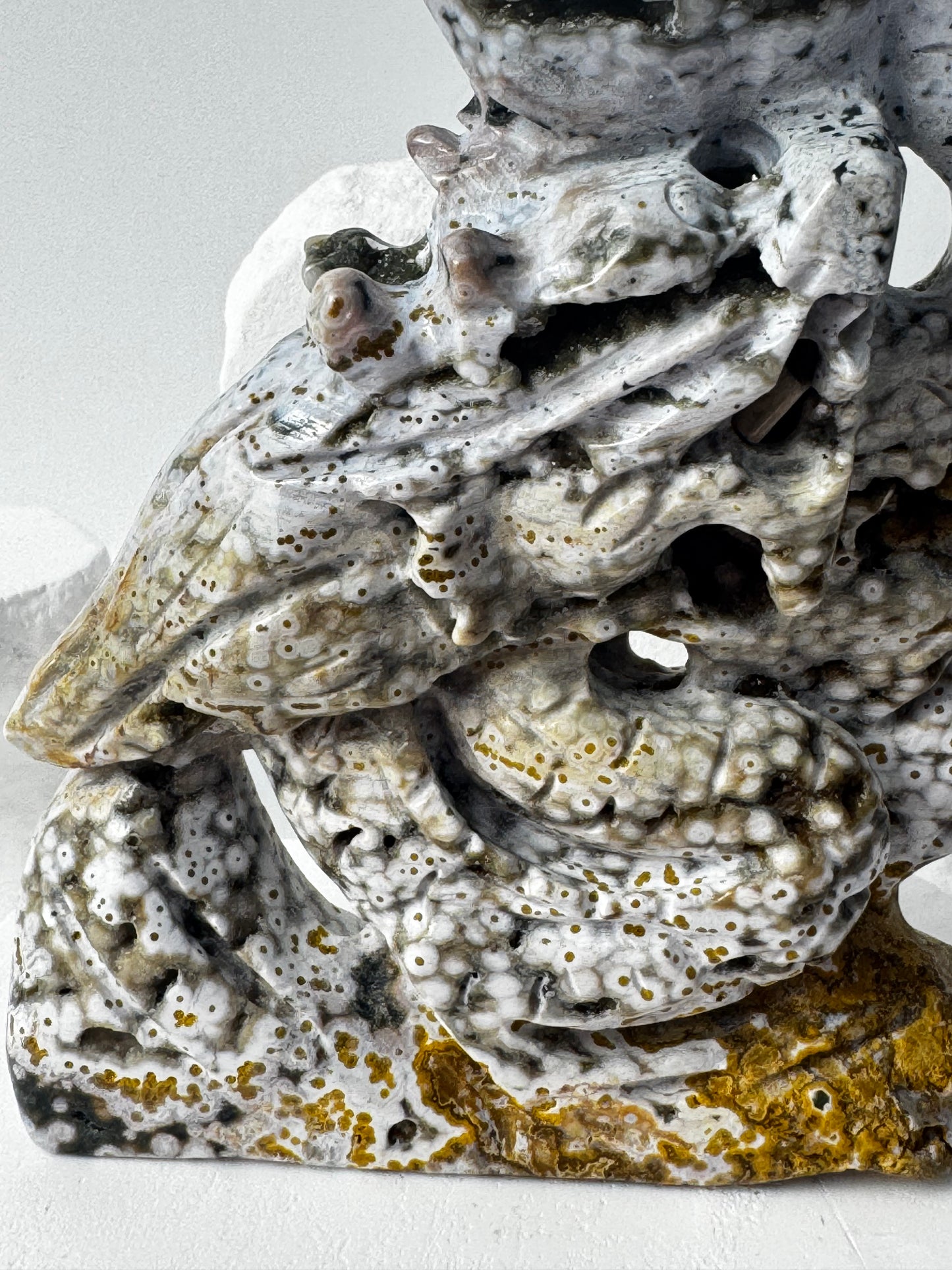 Ocean Jasper Dragon