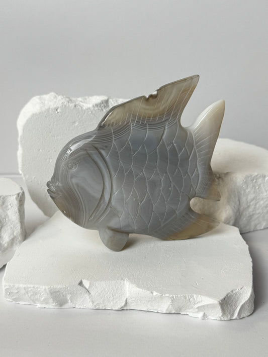 Orca Achat – Fisch Carving