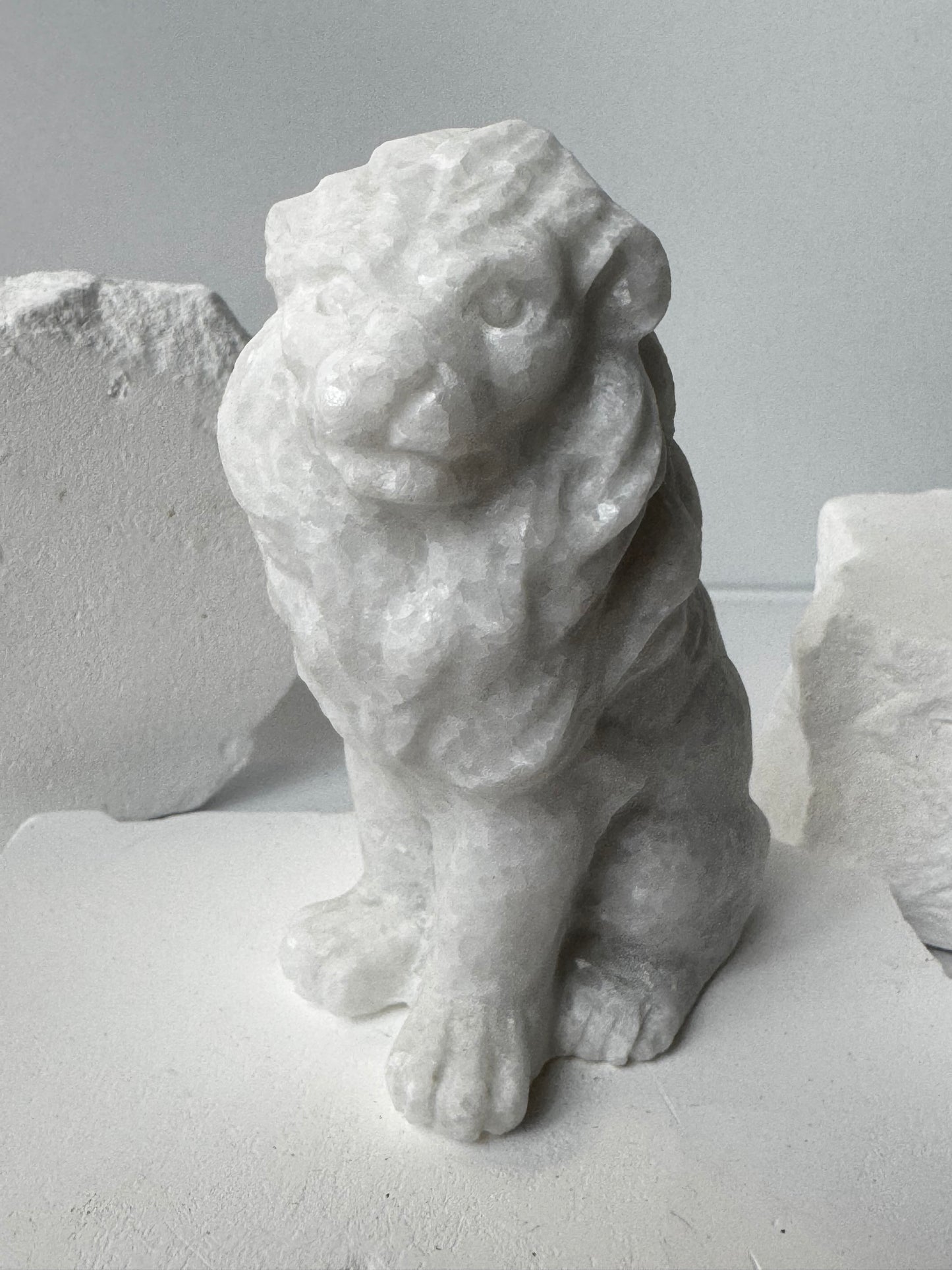 Leo – Rose Quartz or White Jade
