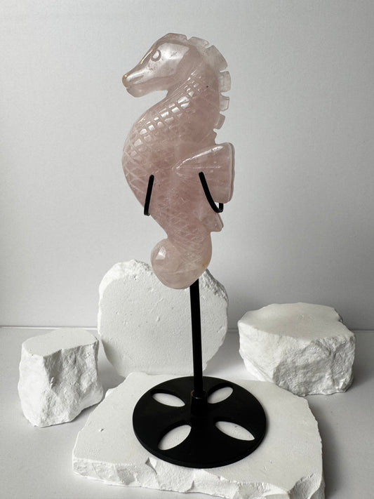 Rose Quartz – Seahorse